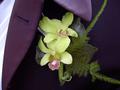 boutonniere closer.jpg